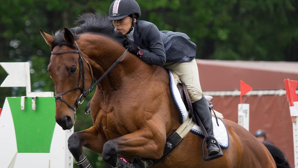 ゴドルフィン リホーミング | Godolphin Lifetime Care